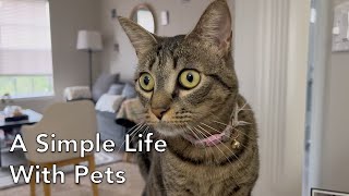 A Simple Life With Pets