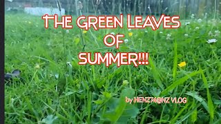 THE GREEN LEAVES OF SUMMER! AUCKLAND NZ, / HENZ74@NZ VLOG