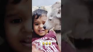 Dog licking my baby #shorts #doglover #dogeffect #cutereaction