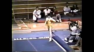 TO 1989 USA vs USSR   Elena Shevchenko URS FX