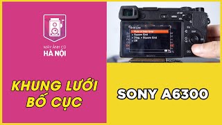 Hướng dẫn bật lưới bố cục trên máy ảnh Sony A6300