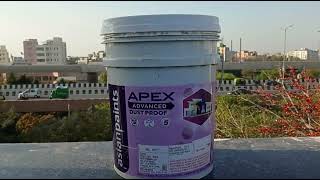 Apex Advance Dust Proof Paint