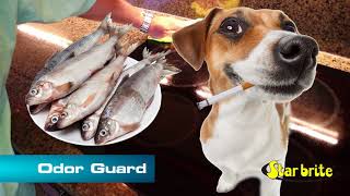 Odor Guard Long