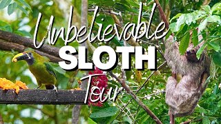 Sloths and Toucans | Incredible Wildlife tour in Costa Rica, La Fortuna Part 4