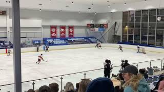 AIHL: Sydney Ice Dogs vs Melbourne Mustangs, Macquarie Ice Rink, Sydney.