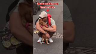 Cutest bonding of Saad Lamjarred and Lola#gulimata#cute#arbic#singer#saadlamjarred#morocco#shorts♥️✨