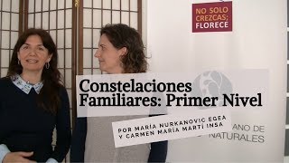 FORMACIÓN EN CONSTELACIONES FAMILIARES: PRIMER NIVEL