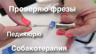 Влог: Треш педикюр и парк Елочки. Ногтевые покупки и Собакотерапия.