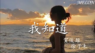 我知道—賀俊雄 徐子未『從來沒想過 不能再和你牽手，委屈時候沒有你 陪著我心痛』【動態歌詞Lyrics】