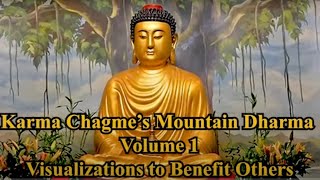 Karma Chagme's Mountain Dharma Vol 1   Visualizations to Benefit Others