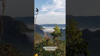 Negeri di Atas Awan#video #shorts