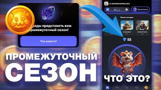 ПРОМЕЖУТОЧНЫЙ СЕЗОН в HAMSTER KOMBAT! ЧТО ДЕЛАТЬ И ЗАЧЕМ КРИСТАЛЛЫ В ХОМЯКЕ? КОГДА АИРДРОП HAMSTER?