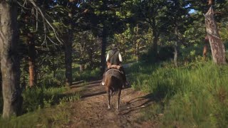 RED DEAD REDEMPTION 2 PS4 [Free Roam Gameplay]