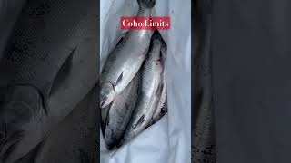 Ocean Coho Limits bonus back in time for breakfast #pnw #fishing #outdoors #ocean