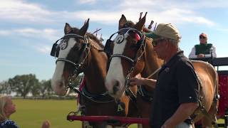 Sarasota Polo at Lakewood Ranch, FL  - BHGRE Atchley Properties -Community Series