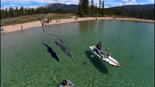 annete lake paddle boarding