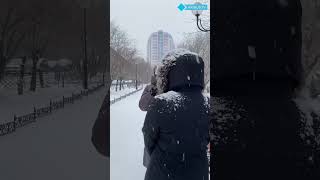 😍❄️ Снегопад накрыл Улан-Удэ, и город стал похож на открытку к Новому году #новости #news #shorts