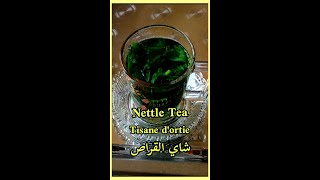 شاي القراص /Nettle Tea/Tisane d'ortie #shorts