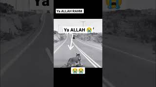 YA ALLAH REHM #islam #shorts