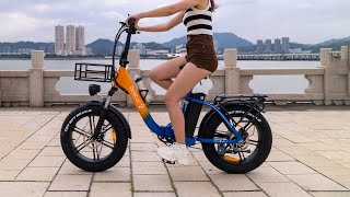 Ridstar MN-20 Electric Bike 1000W 48V 15AH 20 Inch Magnesium Wheel Off Road Electric Bicycle