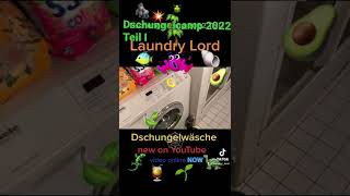 Dschungelcamp 2022 🌴 Laundry Lord 🐾 Dschungelcamp 🦁 Waschküche 💦 Teil 1 teaser