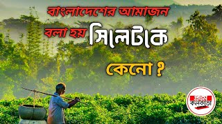 সিলেটকে কেন বাংলাদেশের আমাজন বলা হয় ? Why is Sylhet called the Amazon of Bangladesh?