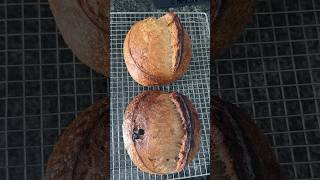 Sourdough bread scoring #shorts