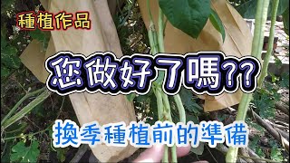 [種植作品]01 該換季種植了嗎? 換季前的準備做了嗎? 好像又有颱風了...(小空間種植)