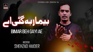 Bimar Beh Gayi Ae - Shehzad Haider | Vichora Bibi Sughra Sa - New Nohay 2022