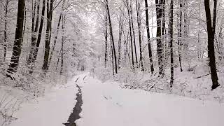 winter atv offroad #winter #atv #polaris #polarissportsman1000 #offroad #mountain #forest #snow