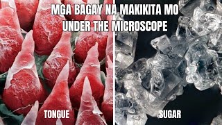 Ganito pala itsura ng mga bagay kapag gumamit ka ng microscope