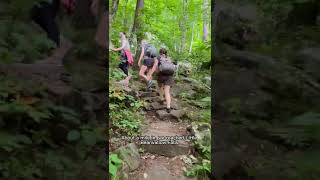 One-minute #hiking on the Wildcat Rock Trail near #asheville #northcarolina while on a #girlstrip