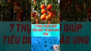 7 Thực Phẩm Giúp Tiêu Diệt Tế Bào Ung Thư#biquyetsongkhoetre #shortsvideo #food