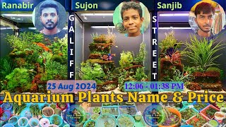 GALIFF STREET AQUARIUM PLANT HUNT: TOP 3 SELLERS & THEIR BEST PICKS WITH LATEST PRICES! | 25AUG 2024