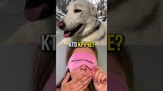 Кому больше подошел этот образ, ребят? 😂 #asokatrend #asokamakeup #funnydog