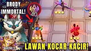 GILA! BRODY IMMORTAL DENGAN AUSTUS SKILL 2 LAWAN AUTO KOCAR KACIR! | COMBO MAGIC CHESS TERKUAT 2024