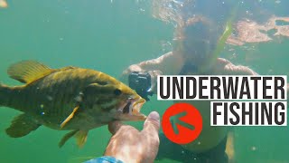 Fishing while UNDERWATER - Big smallies up close