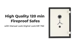 High Quality 120 min Fireproof Safes with Manual Lock Digital Lock MF-750