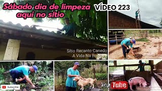 Sábado: Dia de limpeza - chaminé/telhado/córrego/cachorras/curral e chiqueiro - Vídeo 223