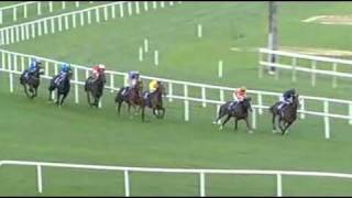 30.10.11.Leopardstown.Jra Killavullan Stakes (group 3) -Nephrite.