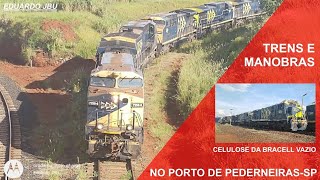 Manobras e trem vazio de celulose da Bracell com 3 locomotivas no porto de Pederneiras (ZPD)-SP