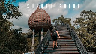 Hiking Alone in Sungei Buloh Wetland Reserve