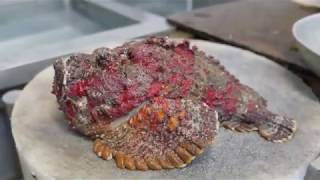 Most Poisonous Fish In The World Cooked 2 Ways!