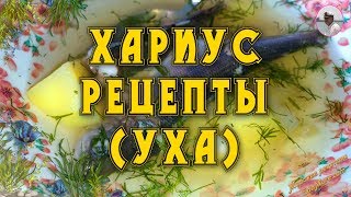 Хариус рецепты видео от Petr de Cril'on