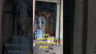 பால் அபிஷேகம் பார்க்க பாபம் தீரும் #youtubeshorts #murugansong #murugan #song #songstatus