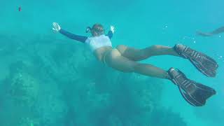 Sombrero Key Snorkeling