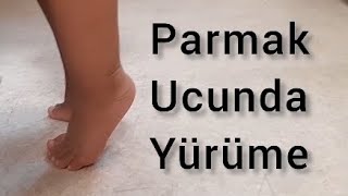 Parmak Ucunda Yürüme Masum Olmayabilir, Prof. Dr. Sedat IŞIKAY