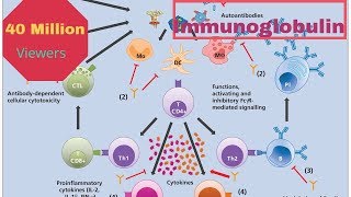 MCQ's On Immunoglobulin .... Covered by #Radtech Imam