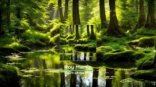 Roy Martin - Spirit of the Fire