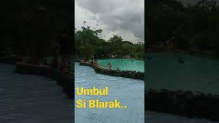 Kolam renang umbul si blarak